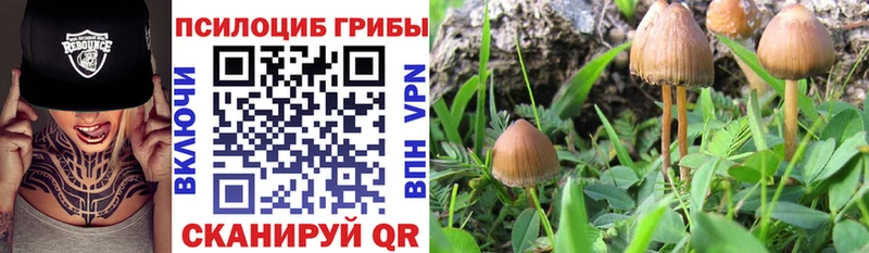 Галлюциногенные грибы MAGIC MUSHROOMS  Полярные Зори 