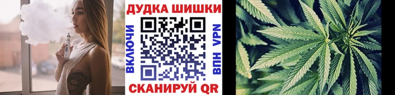 Бошки Шишки планчик  omg ONION  Полярные Зори  купить  цена 